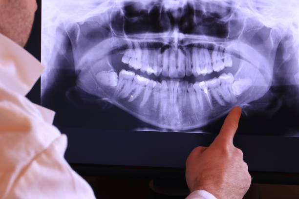 Best Emergency X-Rays and Diagnostics in Farmersville, OH